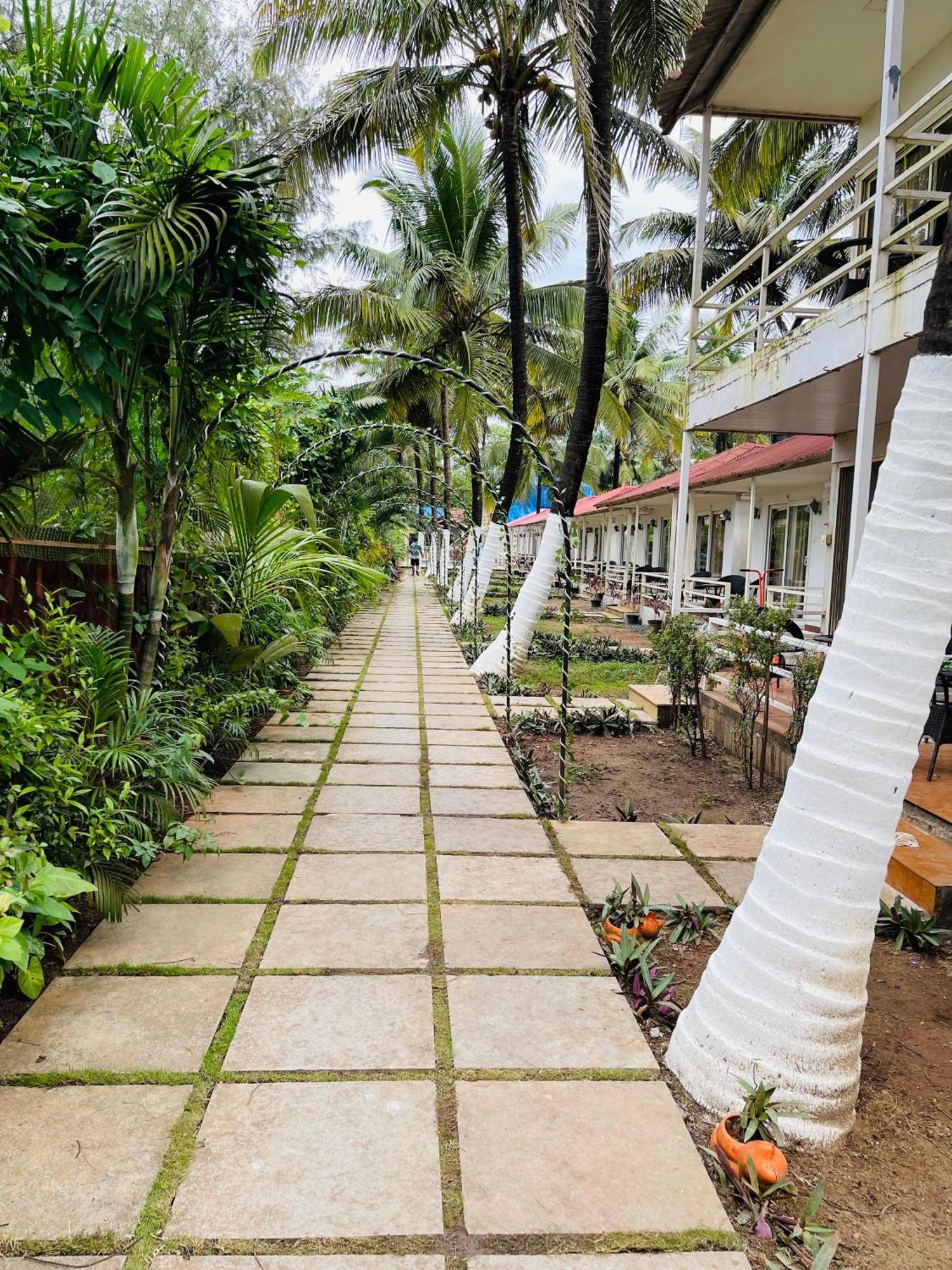 Arabian Sea Beach Resort Morjim Kültér fotó