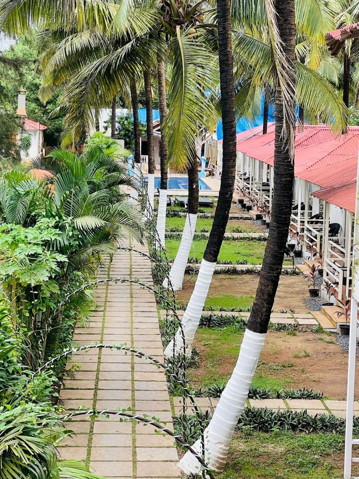 Arabian Sea Beach Resort Morjim Kültér fotó