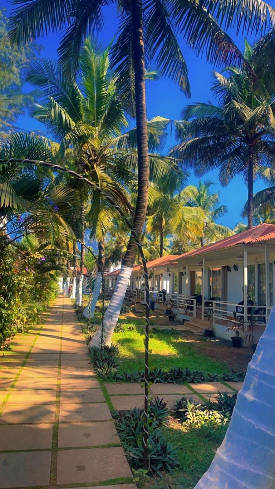 Arabian Sea Beach Resort Morjim Kültér fotó